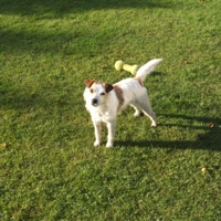 232323232fp73247_nu334_339_839_WSNRCG323_77_5675nu0mrj1