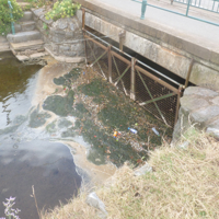 Saturday 13th August 2016 013