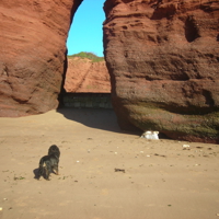 Dawlish Beach 2010 008