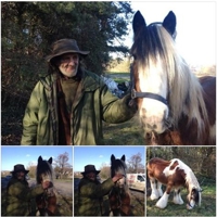 Devon Traveller John Treagood