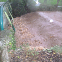 Dawlish Brook 30th December 2015 015