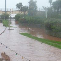 Dawlish Brook 30th December 2015 002