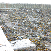 The Morning After The Floods 017