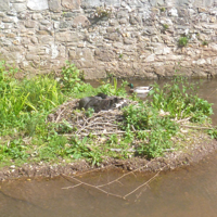 A sunny Sunday May 2017