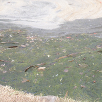 Saturday 13th August 2016 012