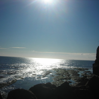 Dawlish Beach 2010 009