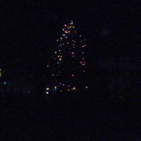 Christmas Light Switch On 2012 015