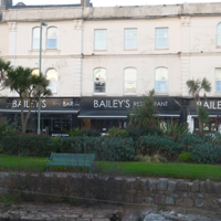 No Christmas Trees 004