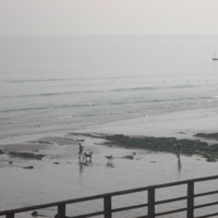 Dawlish Beach in Autum 015
