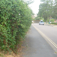 Sandy Lane July 2016 001