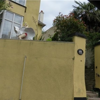 Saw Marilyn Munroe on the way towards Teignmouth!