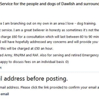 The New Dog Training service in Dawlish (sorry cannot post on the original link)