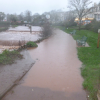 Dawlish Brook 30th December 2015