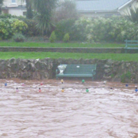 Dawlish Brook 30th December 2015 005